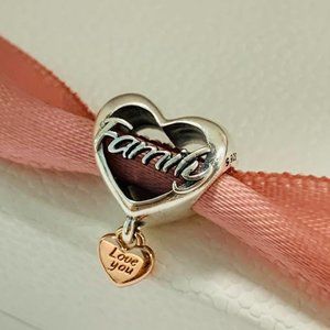 Pandora Love You Family Heart Charm Moments Bracelets Pendant